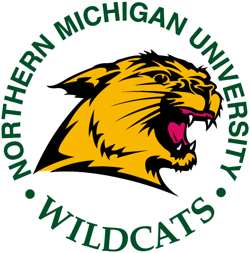 Northern Michigan Wildcats 1993-2015 Primary Logo iron on paper